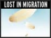 Lost in Migration game image